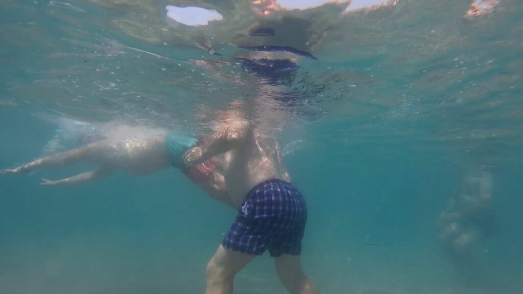Flying Fish