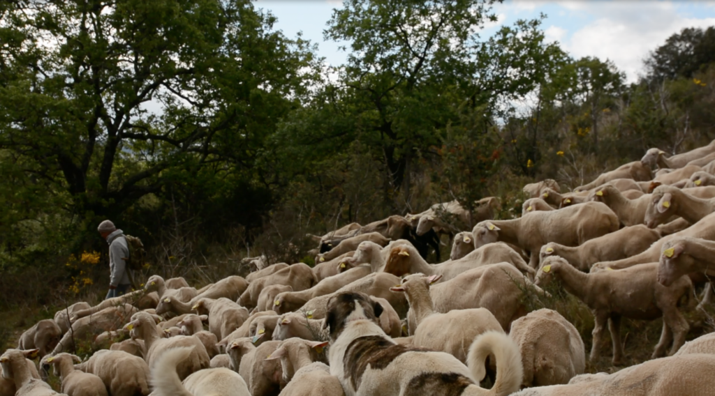 Marche ou&nbsp;crève