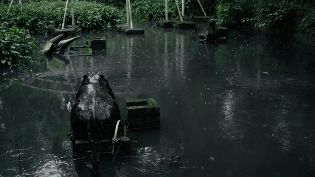 Gan Tang, The&nbsp;Lake