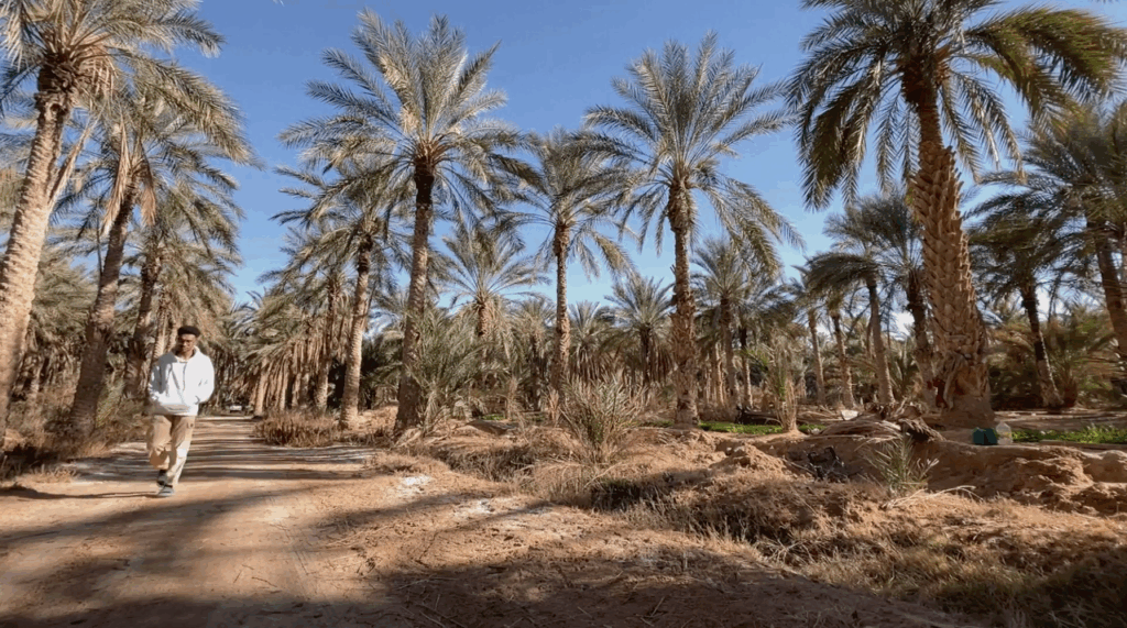 Man in Touggourt Paradox